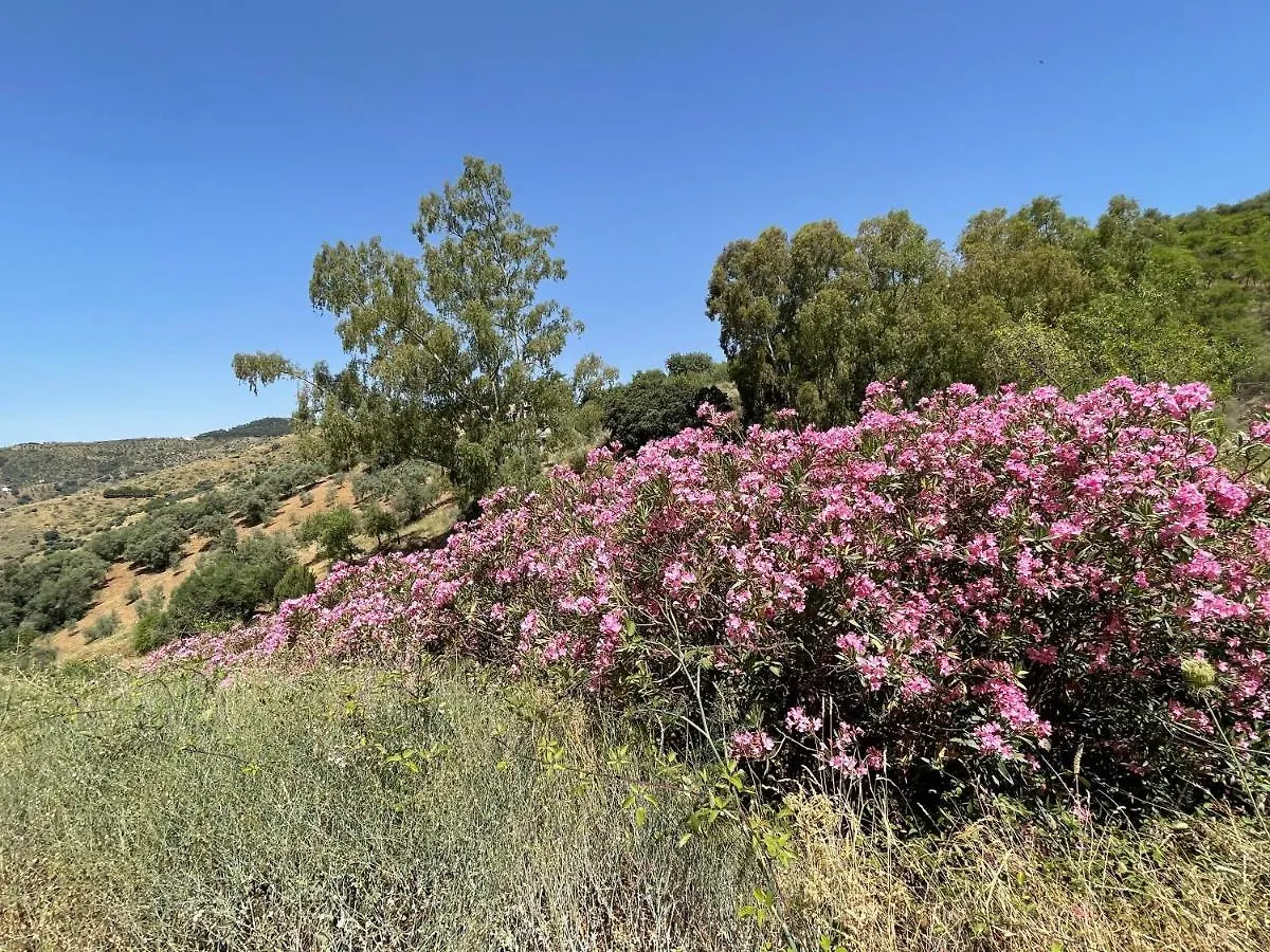 Сasa de vacaciones Casa Mara Villa Málaga